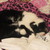 :iconmisty007xx: