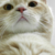 :iconmistyfan200: