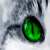 :iconmistyfur: