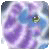 :iconmistyglimmer: