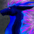 :iconmistykazu-darkness: