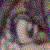 :iconmistykitty: