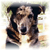 :iconmistymay: