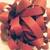 MistyRainbowSky :iconmistyrainbowsky: