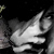 :iconmistyssurfer86: