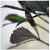 :iconmisui: