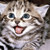 :iconmisunderstoodpoison: