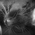 :iconmisuzu-stock: