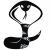 :iconmit-ty: