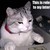 :iconmitch1621: