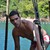MitchellBratton :iconmitchellbratton: