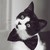 :iconmitchelletortilla:
