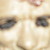 :iconmitchoum: