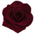 :iconmithi2911: