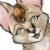 :iconmithrathiel: