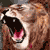 :iconmithrilknight: