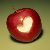 :iconmitsu13: