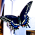 :iconmitsuki-of-the-sand: