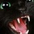 :iconmitt001: