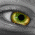 :iconmittebam: