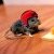 :iconmittons:
