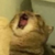 Mittyk :iconmittyk: