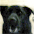 :iconmitzimoo34: