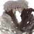 :iconmixed-winter: