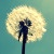 :iconmixedemotions-x: