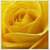 :iconmixis30: