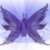 :iconmiyoki1: