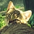 :iconmiyoshi378: