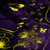 :iconmiysis: