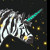:iconmizukage4: