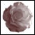 :iconmizuko:
