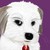 :iconmizusml: