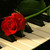 :iconmizz-chamitalove: