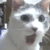 :iconmizz-jazz: