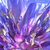 :iconmizzmooni: