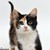 mjal65 :iconmjal65:
