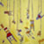 :iconmjphoto: