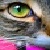 :iconmjs89: