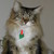 :iconmjspock: