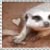 :iconmkatlove1: