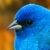 :iconmleczna88: