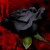 :iconmlizzym1994: