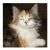 :iconmljphotography: