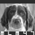 :iconmlm47: