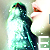 :iconmlmy24: