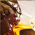 :iconmlotz: